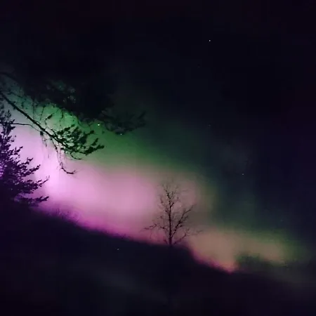 Domek alpejski Narkausjaervi *
