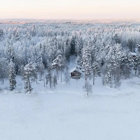 Narkausjaervi