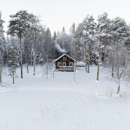 Narkausjaervi